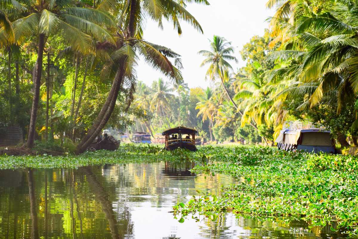 Houseboat in Alleppey backwaters