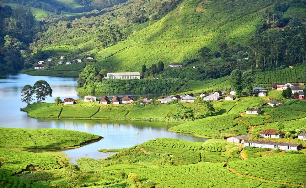 Scenic view of Munnar hill station
