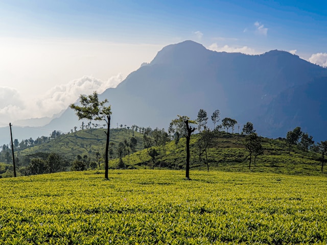 Scenic view of Ooty hill station